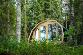 Hidden House Pirttijärvi
